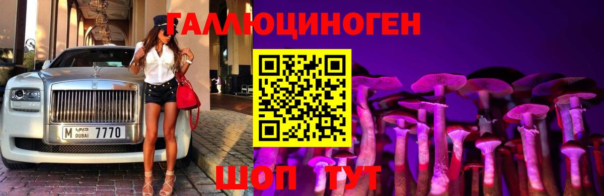 Псилоцибиновые грибы MAGIC MUSHROOMS  Псилоцибиновые грибы мицелий  Ессентуки  Вход с VPN 